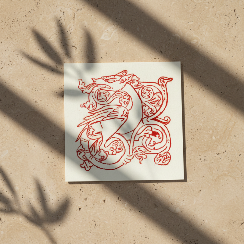 Stylized dragon inspired by illuminated manuscript borders in fine art print format