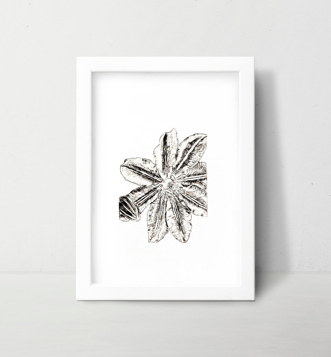 botanical art print in frame on white wall